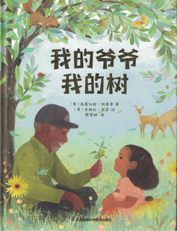 Chinese edition book cover for 