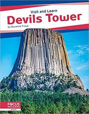 Devils Tower book cover