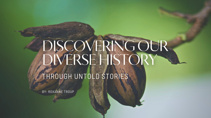 picture link to "Discovering Our Diverse History" ELA activity