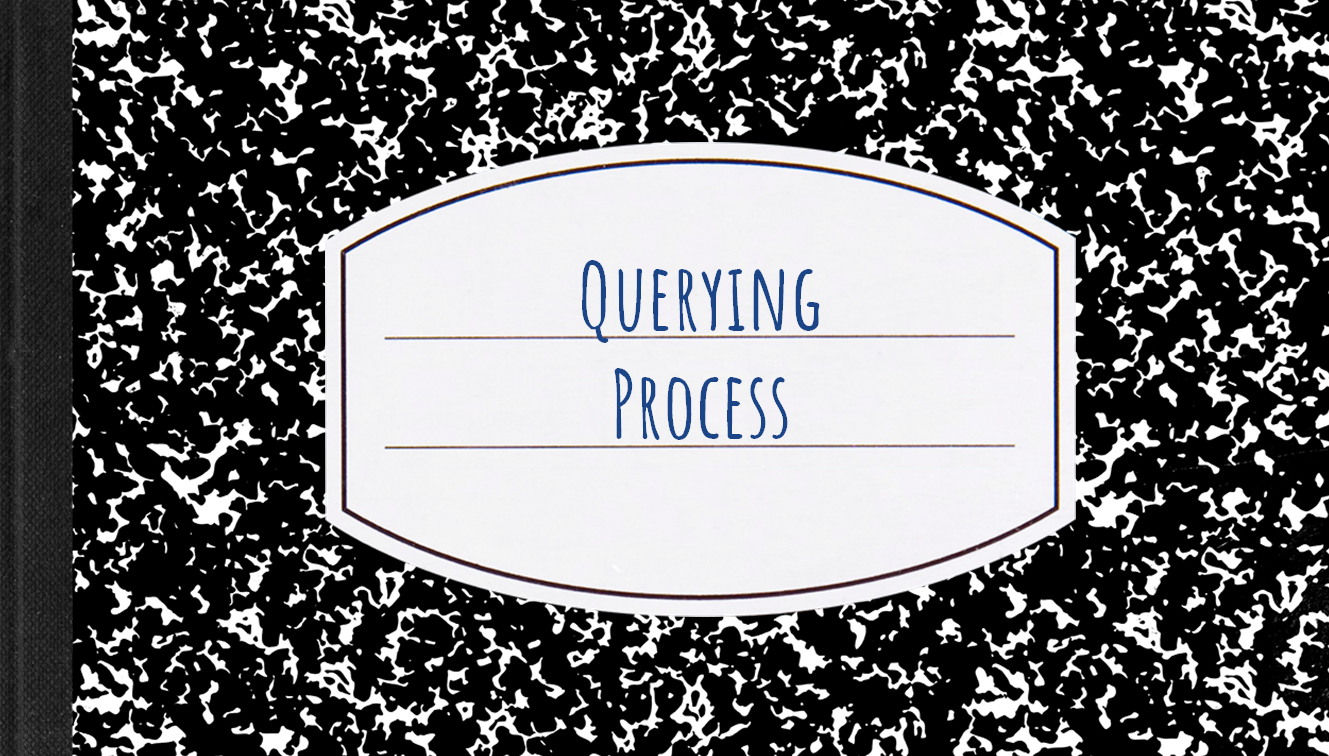 The Querying Process
